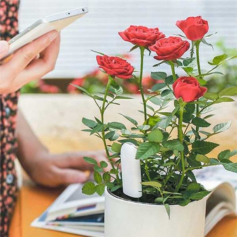 Plant Monitor - ABVG-Flora Smart Flower Monitor Garden Care