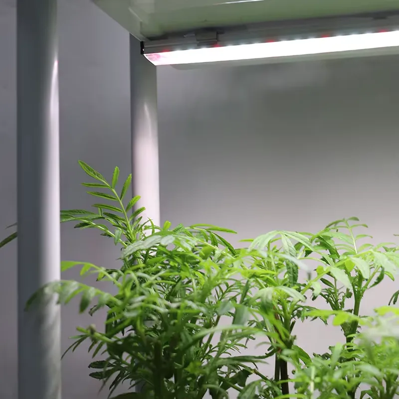 Movable Vertical Grow 3 Level  - Smart Garden System ulasan dan harga
