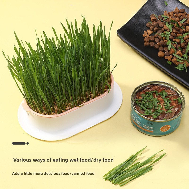 Pet Supplies Cat Snacks Cat Pl - Hydroponic Grow Pod ulasan dan harga