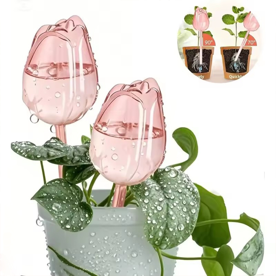 Transparent Thick PET Tulip Sh - Self Watering Planter ulasan dan harga