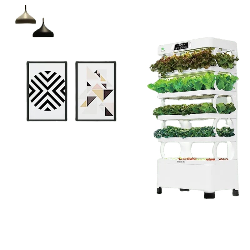 Vertical Farming Hydroponic In - Smart Garden System ulasan dan harga