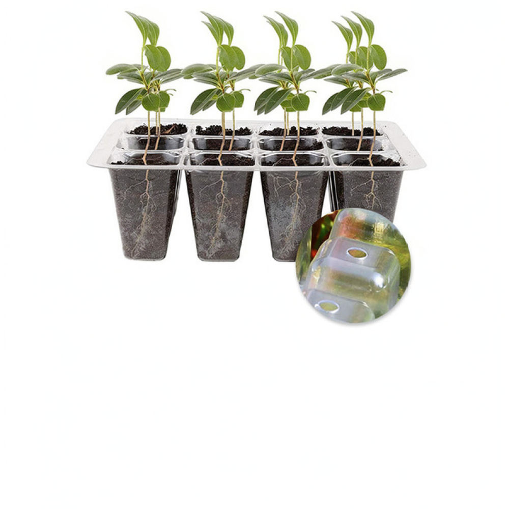 Plant Grow Light Starter Kit H - Indoor Garden Kit ulasan dan harga