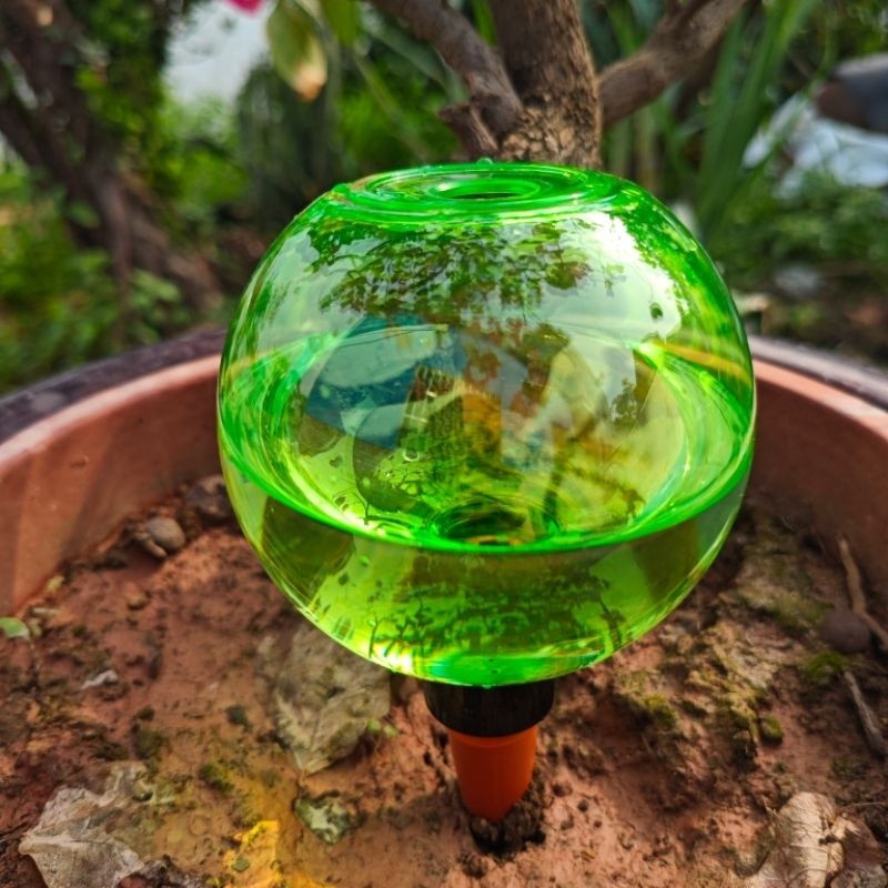 3pcs Large Plant Self Watering - Self Watering Planter ulasan dan harga