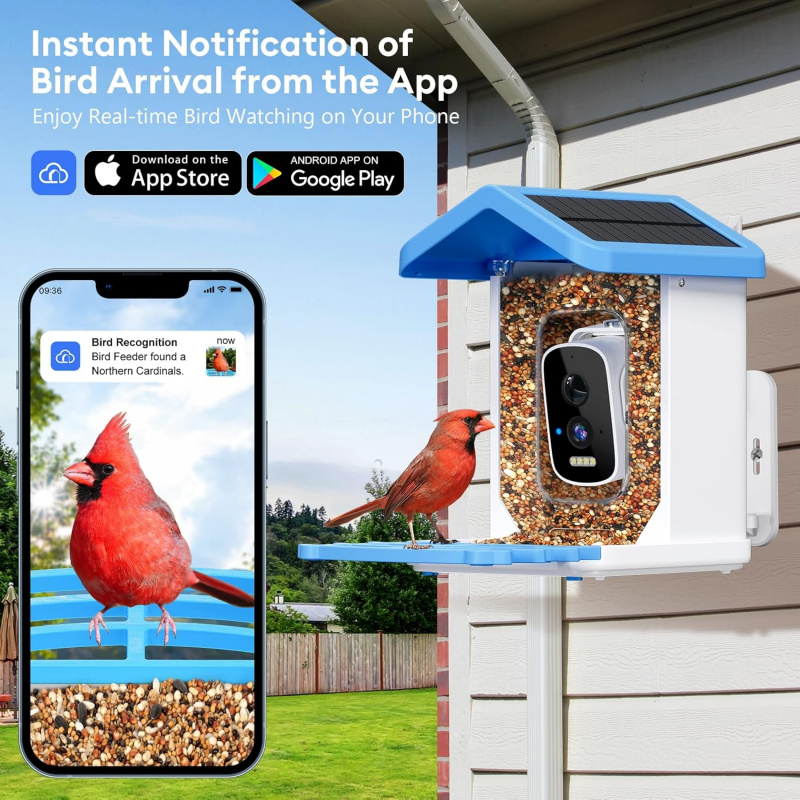 WiFi Smart Bird Feeder with Ca - Garden Camera ulasan dan harga