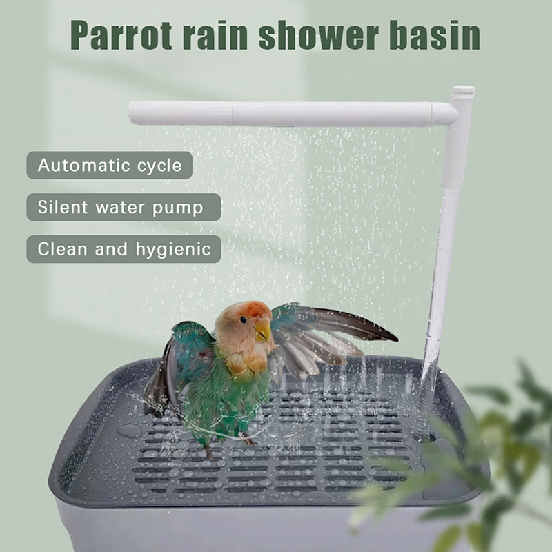 New Sale 2026 Automatic Parrot - Automatic Watering ulasan dan harga