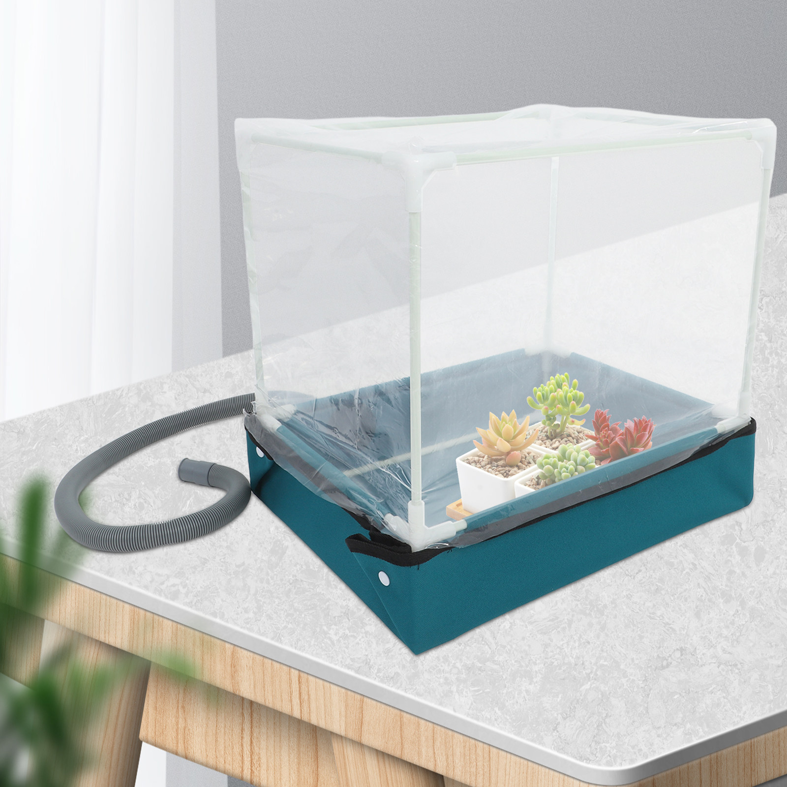 Mini Indoor Succulent Greenhou - Indoor Garden Kit ulasan dan harga